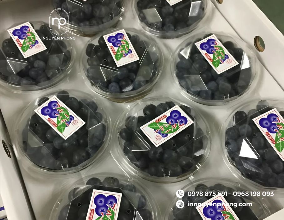 mẫu tem dán việt quất chất lượng cao